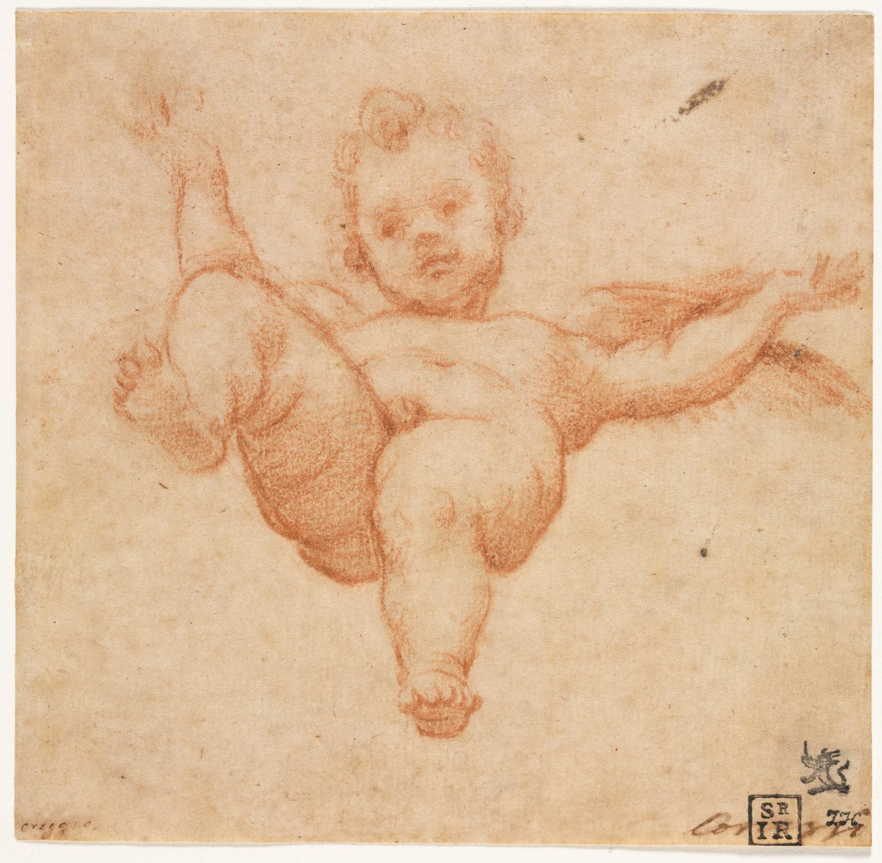Flying Cupid by follower of Annibale Carracci