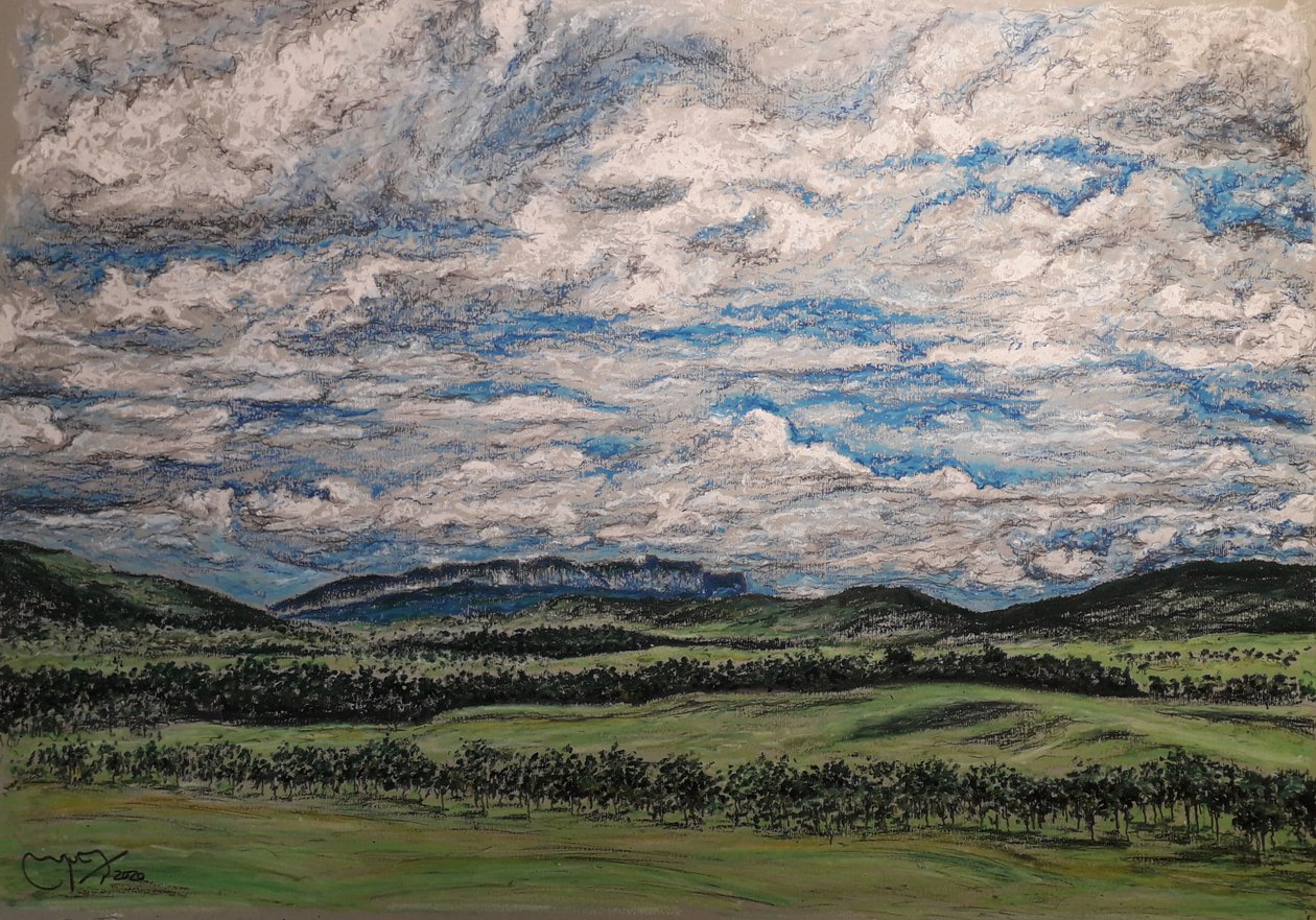 The Great Savannah, Venezuela by miguelmendez_art.ve