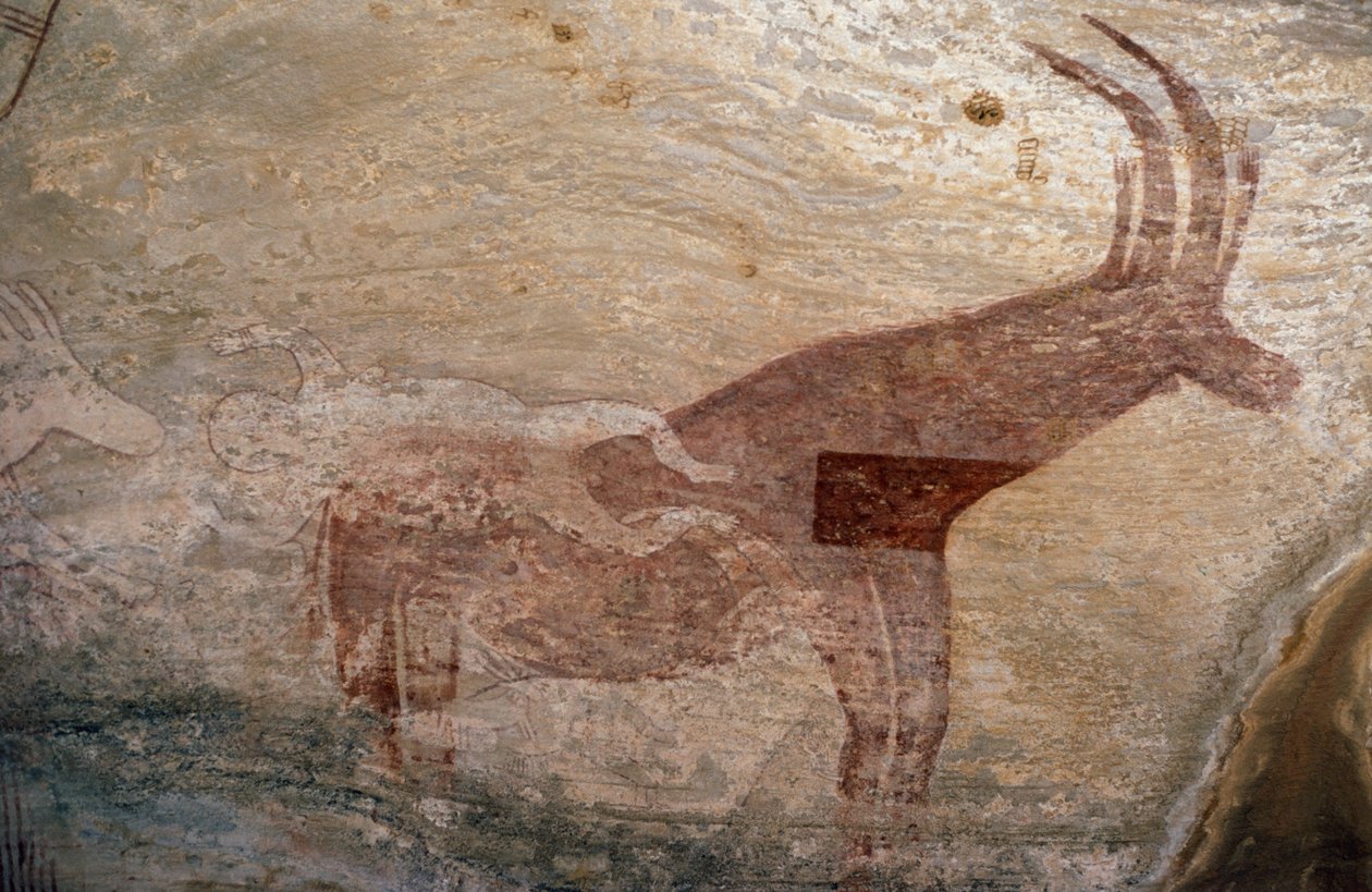 Hoofed animal, cave painting, Sephar, Tassili n