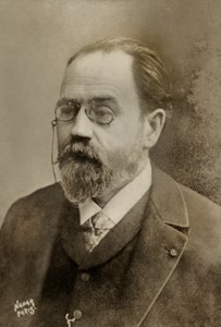 Portrait of the French Writer Emile Zola