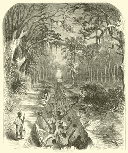 Negroes at Work on the Canal, March 1863