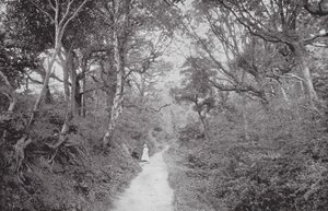 Fairlight Glen by (after) English photographer