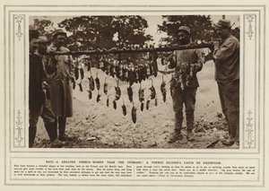 Rats, a Greater Trench-Worry than the Germans! A French Soldier