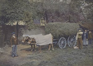 Bearnais Carriage by (after) French Photographer