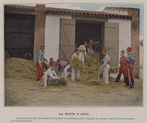 The Coconut Boot by (after) French Photographer