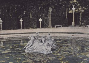 The Nymphs