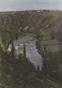 The Pine near Gargilesse (coloured photo) by (after) French Photographer