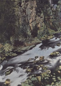 The Gorges of the Cere at Lamativie by (after) French Photographer
