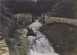 Sources of the Alagnon at Liorant (coloured photo) by (after) French Photographer