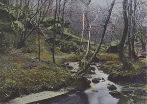 Vaux de Cernay, The Cascades by (after) French Photographer