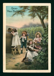 Children picking grapes