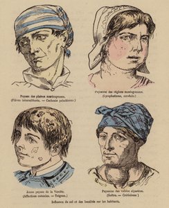 Influence of the Sun and Geographical Location on People by (after) French School