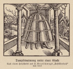 Steam Inhalation Under a Bell by (after) German School