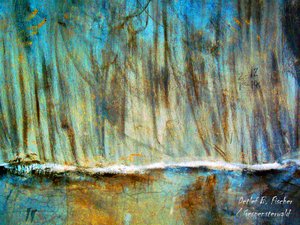 Ghost Forest by Detlef B. Fischer