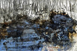 Walden by Detlef B. Fischer