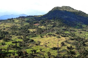 Cebu Hills by Detlef B. Fischer