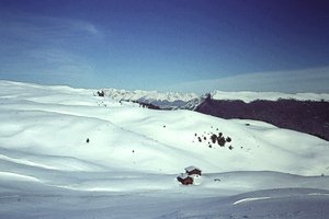 Snow in the Alps by Detlef B. Fischer