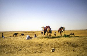 At the Desert by Detlef B. Fischer