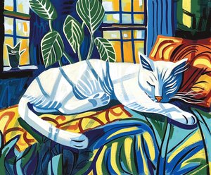 White Cat Sleeping in the Sunlight Matisse by F. Abderrahim