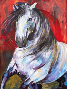 At a Gallop