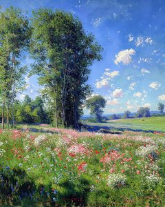Beautiful View on a Sunny Day, Nature and Trees, Wall Decor for Sale