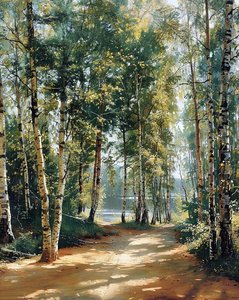 Winding road green forest by F. Abderrahim