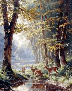 A Deer Among the Trees Drinking Water from a Lake