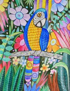 Parrot by Marys Watercolors