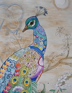 Proud Peacock