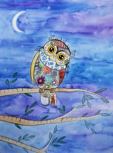 Little Owl