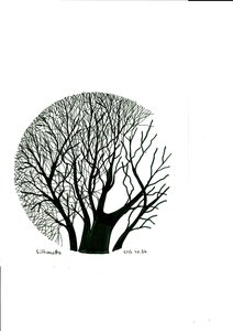 Silhouette