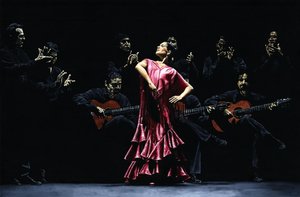 Bailarina Orgullosa del Flamenco
