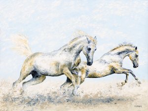 Arabian Knights