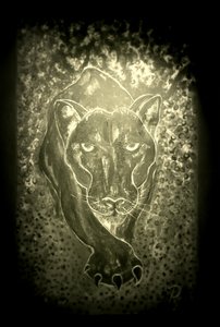 The panther - grey by RosaLi