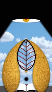 Der Lesemeister oder das nachdenkliche Licht by Alexander Eibach