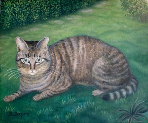 The Cat Julia