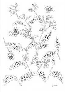 Bumblebee and Wildflower Study by june art