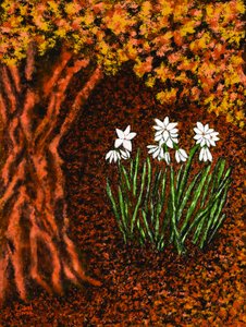 Autumn Flowers