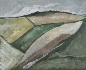 Open Fields