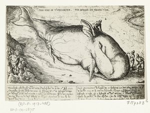Print of the Stranded Whale at Antwerp, July 2, 1577 by A.B. van Deinse