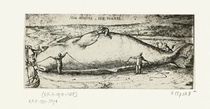 Print of the Stranded Whale near Antwerp, July 2, 1577 by A.B. van Deinse