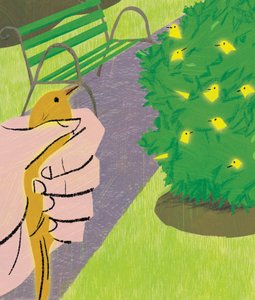 A Bird in the Hand...