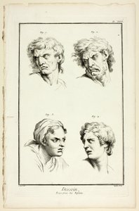 Expressions of Emotion (Hate or Jealousy, Anger, Desire, Physical Pain), from Encyclopédie