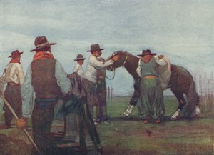 Gauchos Breaking in a Young Horse by A. S. Forrest