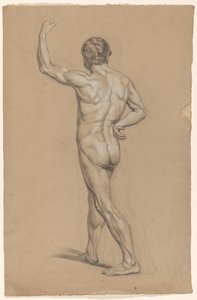 Standing Male Nude, Seen from the Back