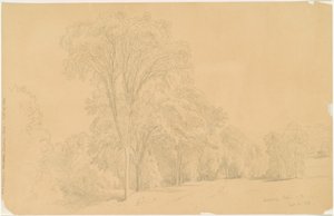 Simsbury, Connecticut by Aaron Draper Shattuck