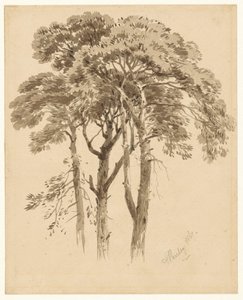 Study of Three Pines