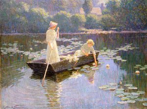 Pond Lillies