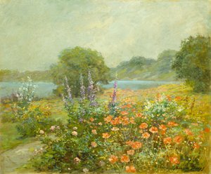 Poppies