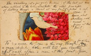 Bird Stencil, study folder for book Concealing Coloration in the Animal Kingdom by Abbott Handerson Thayer